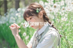 日产一区日产2区最新入口,无限制观看